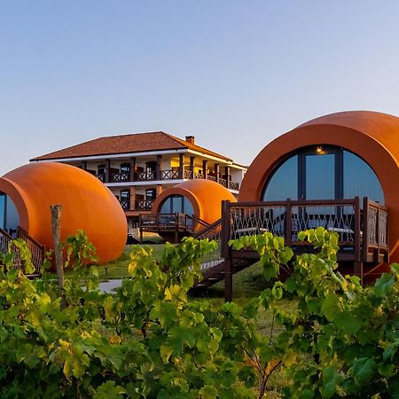 Hotel Qvevrebi Telavi Bagian luar foto