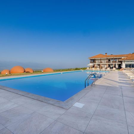 Hotel Qvevrebi Telavi Bagian luar foto