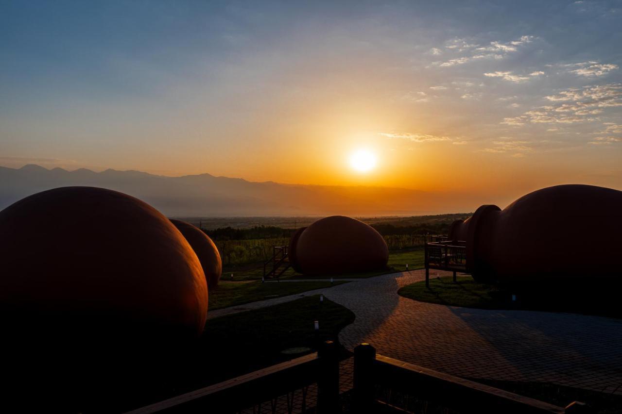 Hotel Qvevrebi Telavi Bagian luar foto