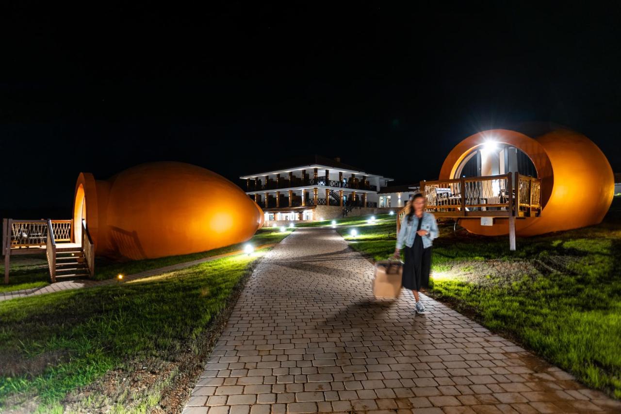 Hotel Qvevrebi Telavi Bagian luar foto