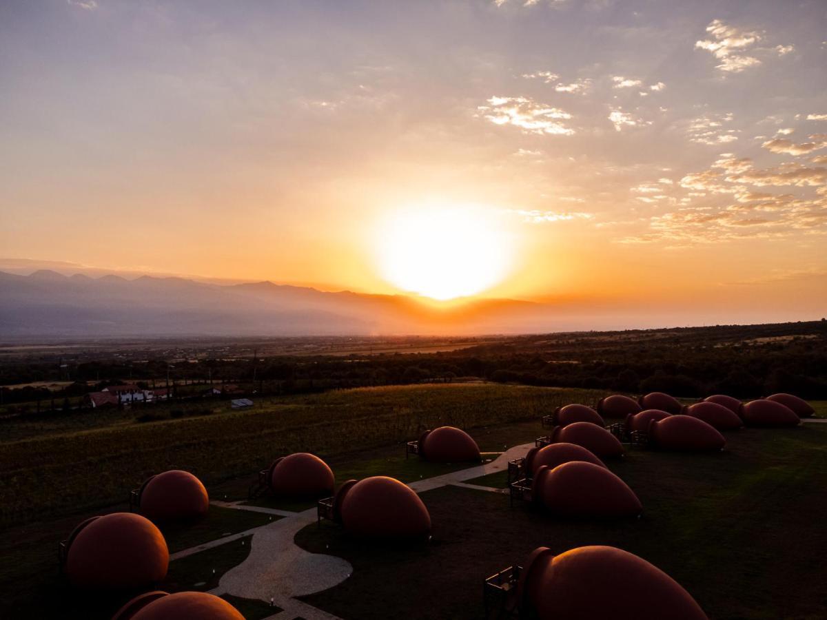 Hotel Qvevrebi Telavi Bagian luar foto