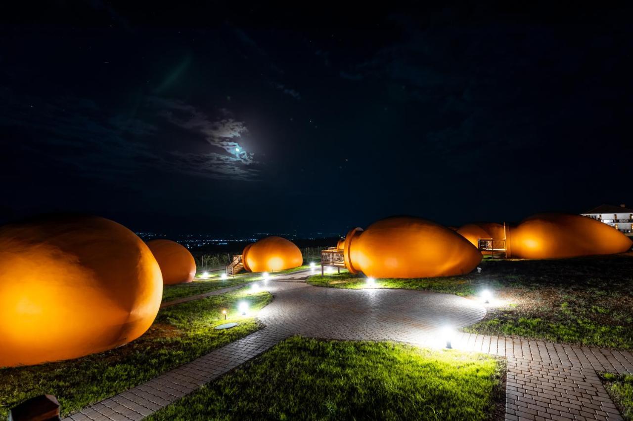 Hotel Qvevrebi Telavi Bagian luar foto