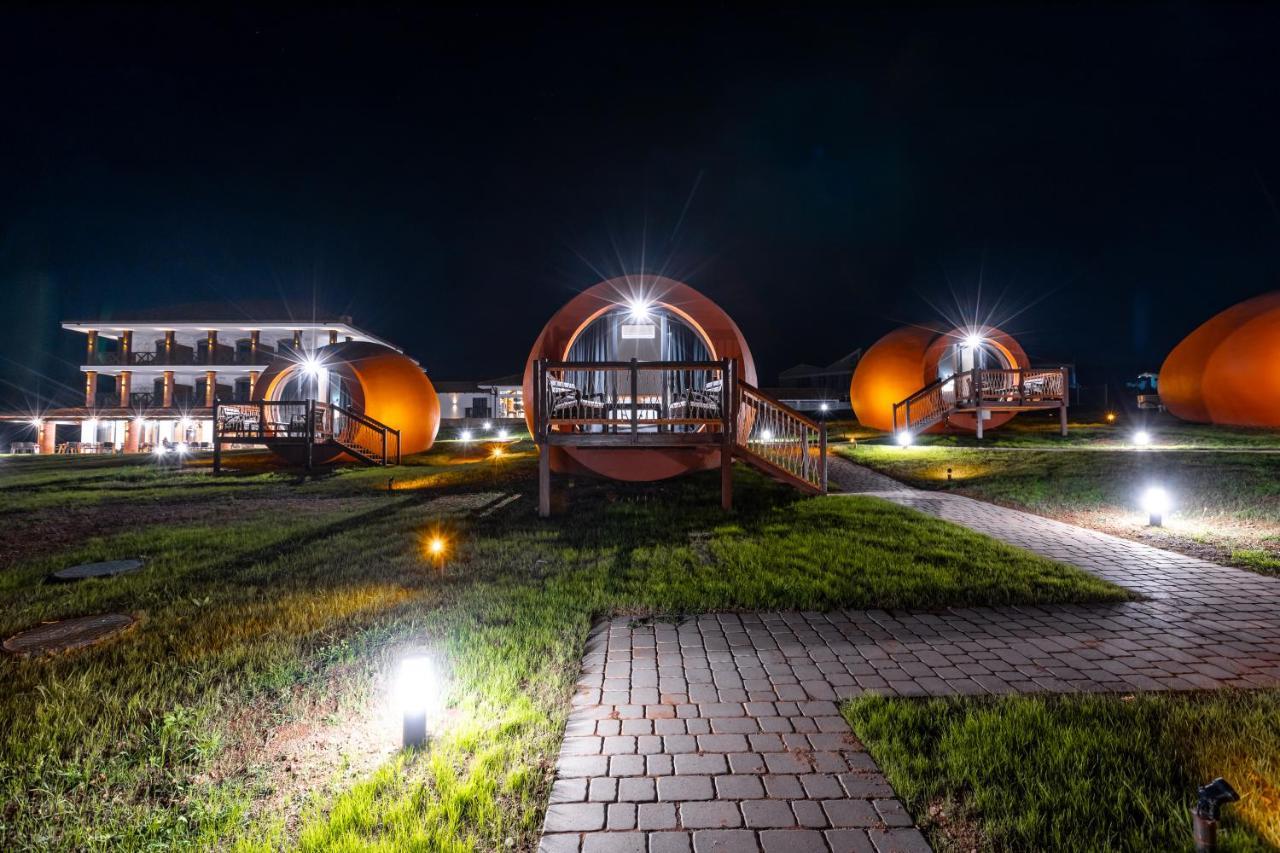Hotel Qvevrebi Telavi Bagian luar foto