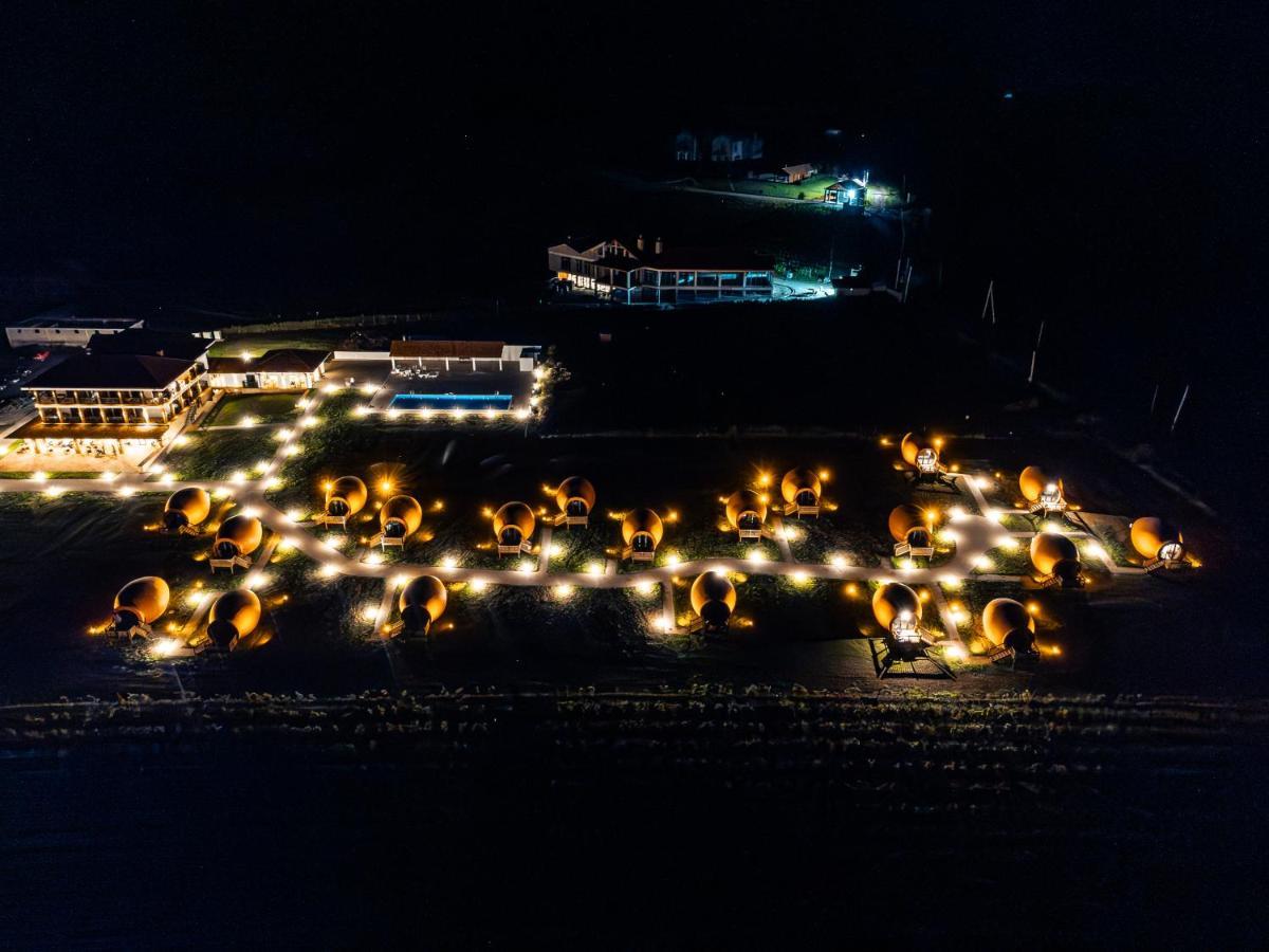 Hotel Qvevrebi Telavi Bagian luar foto