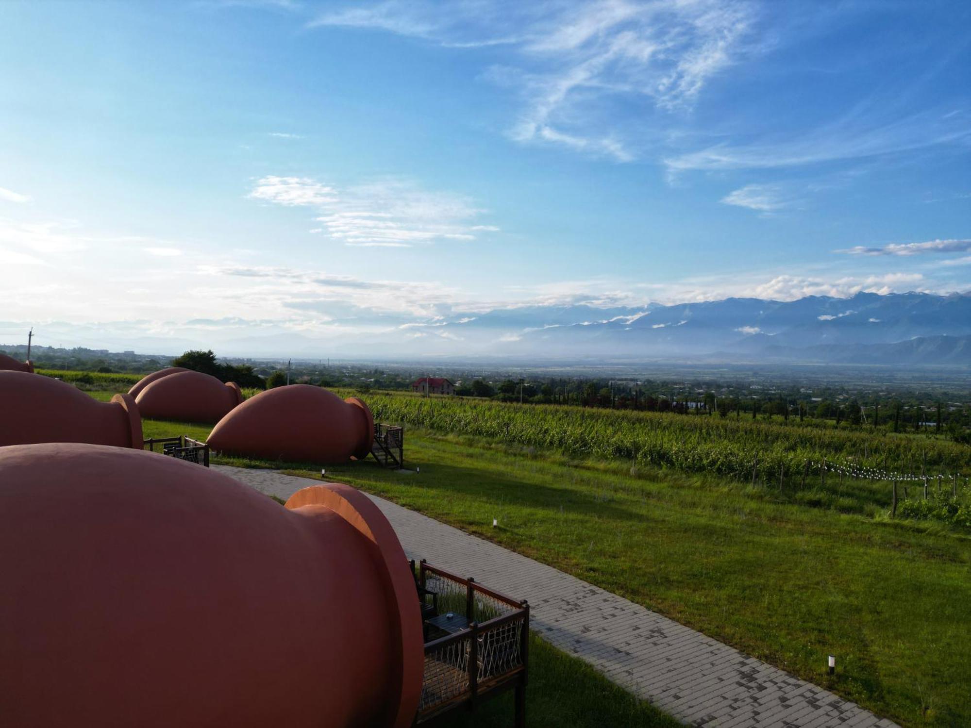 Hotel Qvevrebi Telavi Bagian luar foto