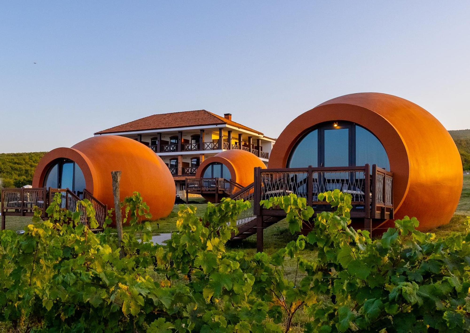 Hotel Qvevrebi Telavi Bagian luar foto
